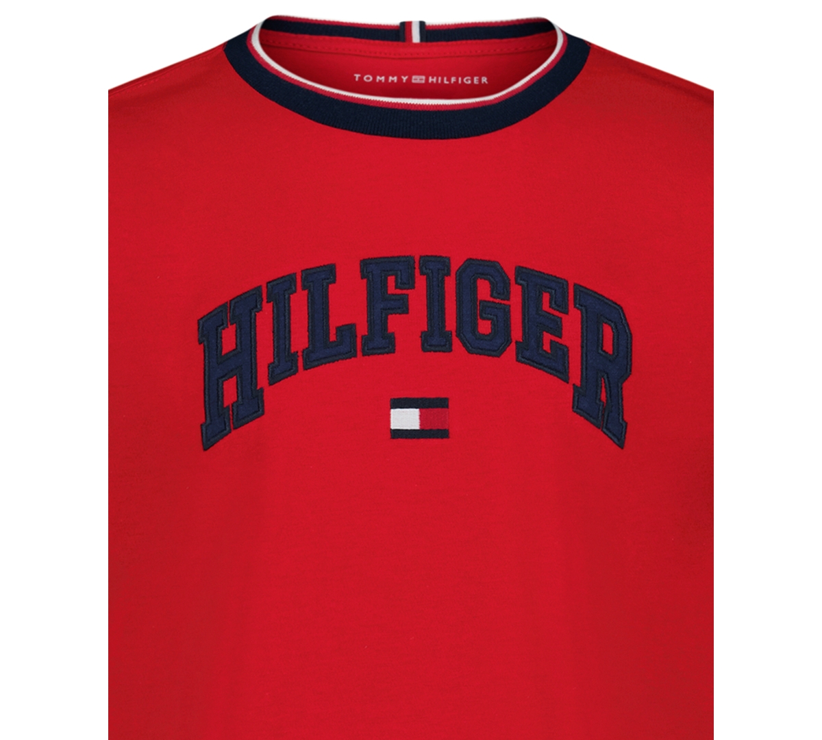 Tommy Hilfiger Big Boys S-xl Hilfiger Arch Short Sleeve T-shirt In Red