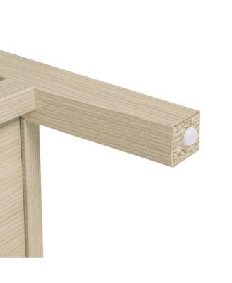 Storage Cabinet with 2 door