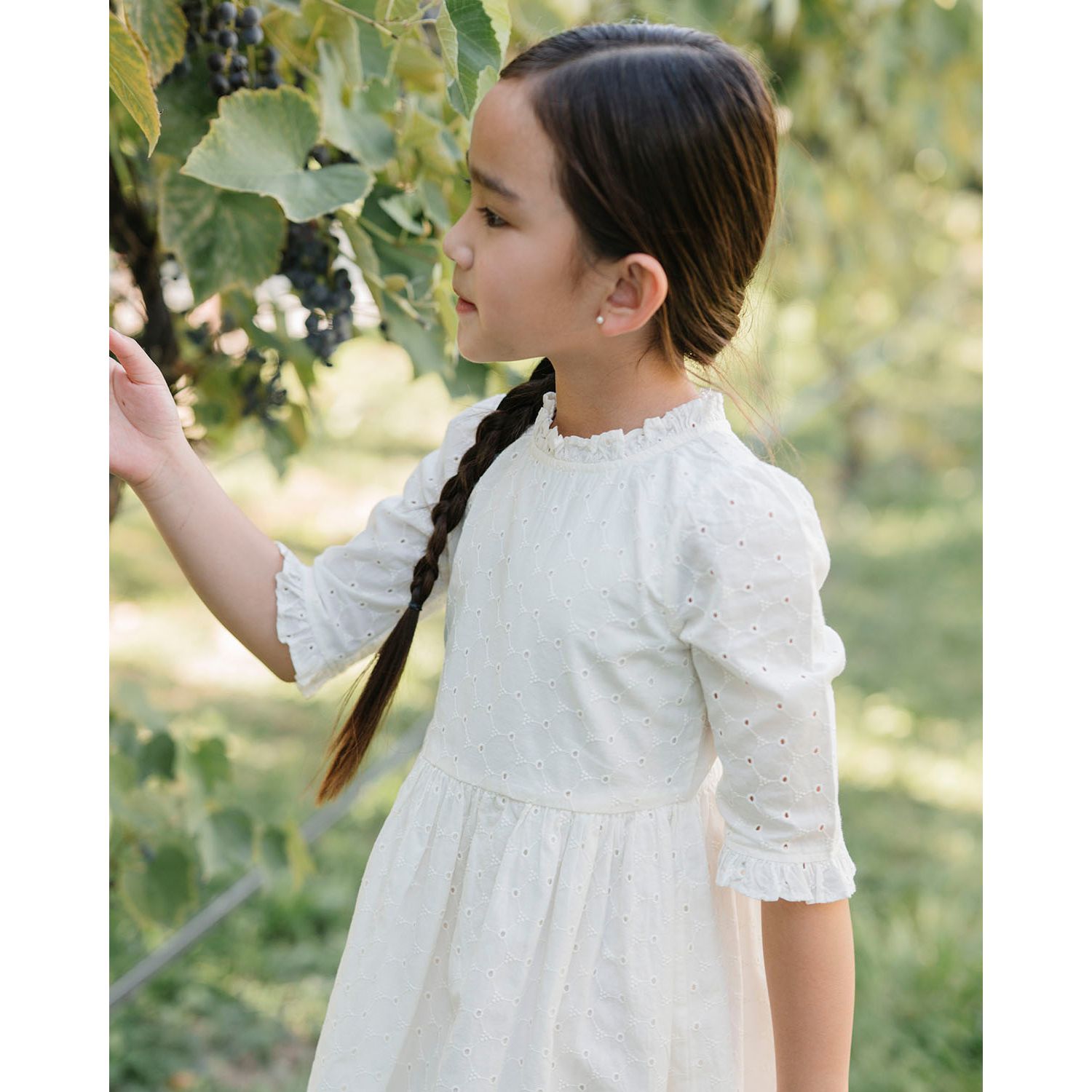 Toddler Girls Hope and Henry Organic Flutter Sleeve Tiered Eyelet Dress