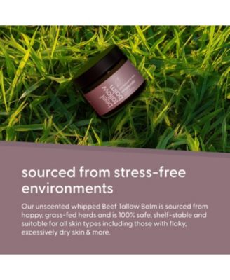 Beef Tallow Balm, Unscented, 2oz