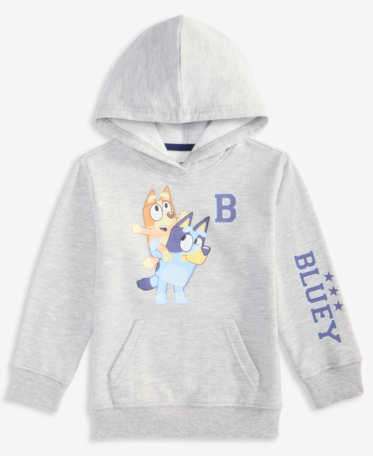 Epic Threads Boys Toddler 2t-4t Bluey Long-sleeve Hoodie, Macy's Exclusive In Gray
