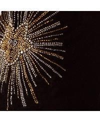 Star Embellished Velvet Flared Pants