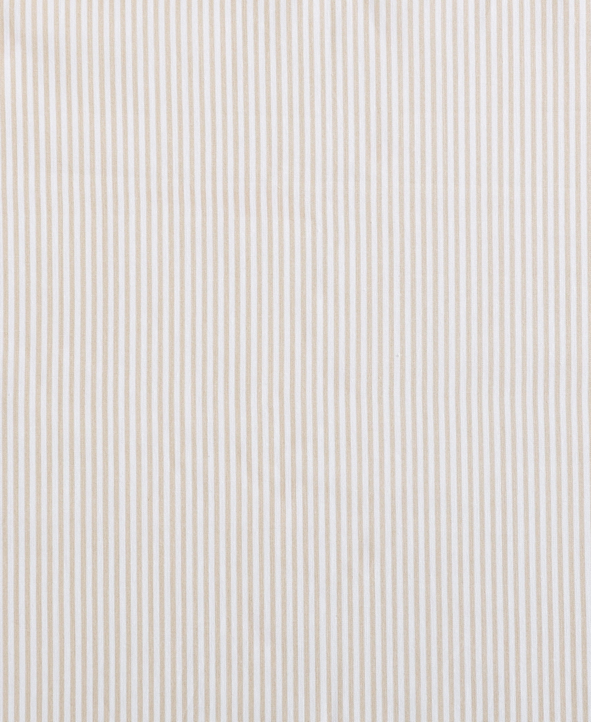 Nautica Closeout!  Cotton Percale 3-piece Sheet Set, Twin Xl In White