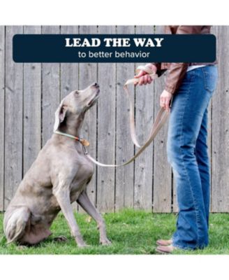 Reflective Leash
