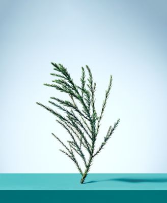 3-Pc. Tiffany & Love For Her Holiday Gift Set