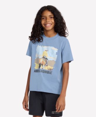abercrombie kids - Big Boys Back Trail T-Shirt