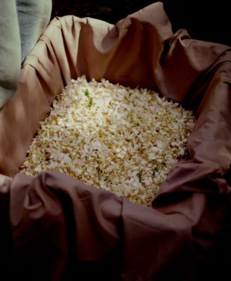 Gelsomino A Freddo Eau De Parfum Spray, 6 oz.