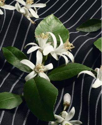 Sicily Re-Edition Fragrance, 3.3 oz