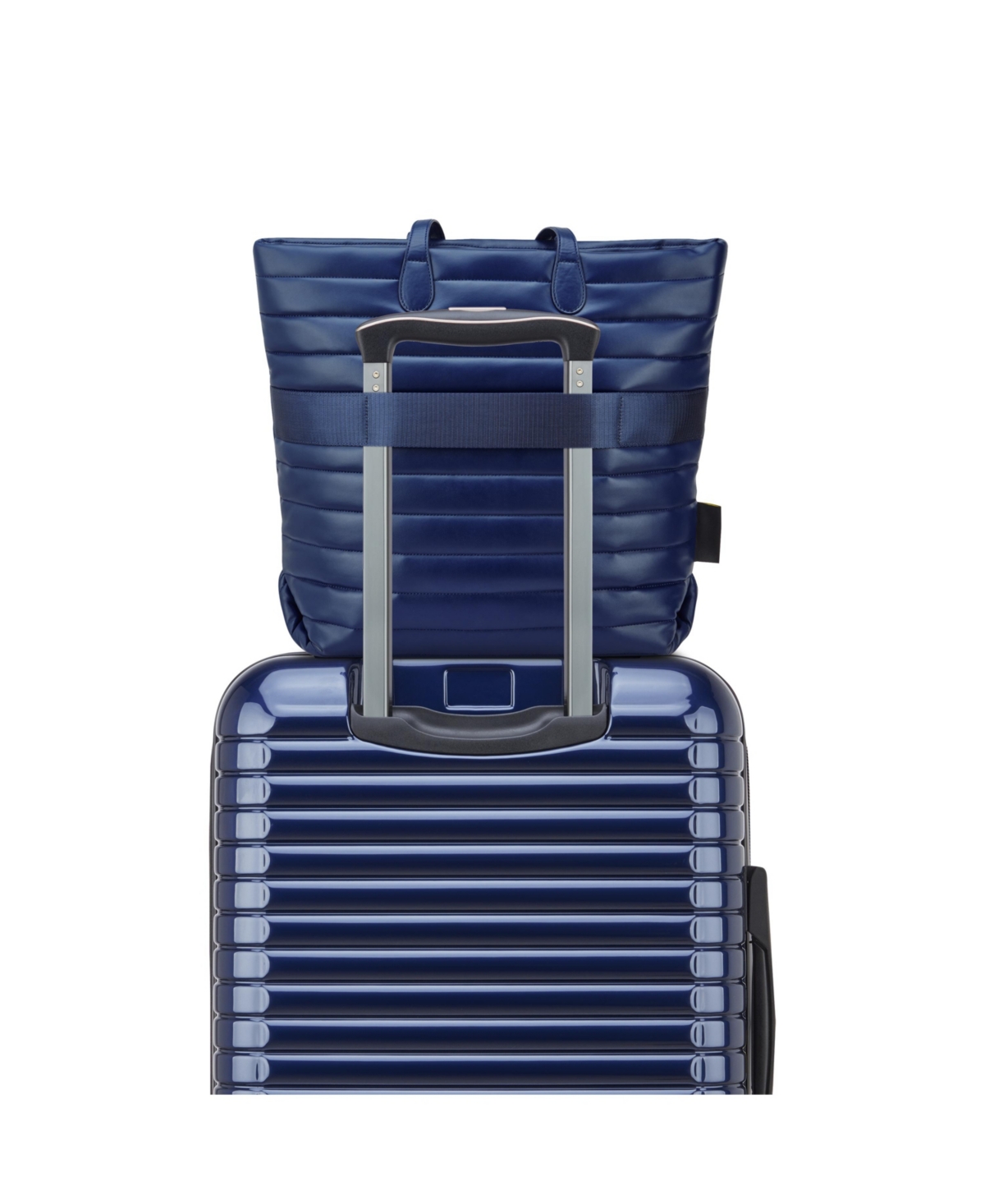 Delsey Paris Cruise 3.0 Tote Bag In Blue