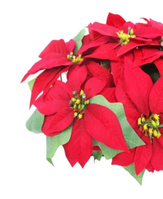 Puleo 24" Pre-Lit Artificial Red Poinsettia Window Box D&eacute;cor