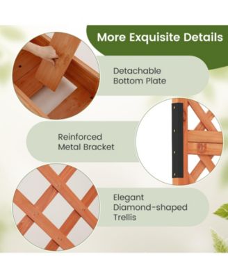 Raised Garden Bed Planter Box w/ Side & Top Trellis for Vine Climbing Plants