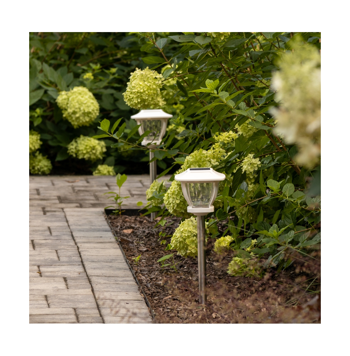 Maxsa Innovations Solar Wave Glass Style - Super Bright Path Lights 2 pack White