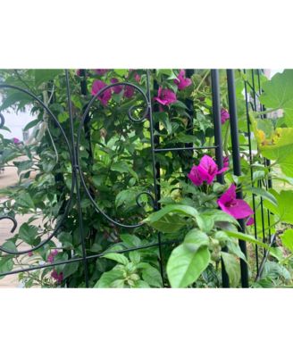 Metal Garden Trellis 2-Pack for Climbing Plants
