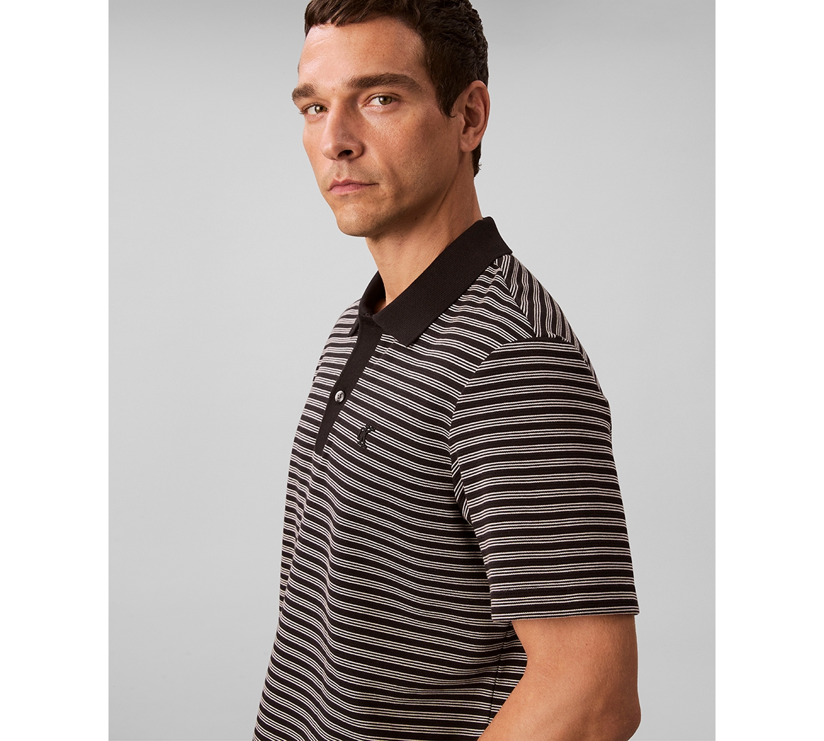Calvin Klein Men's Ottoman Stripe Polo Shirt In Brown