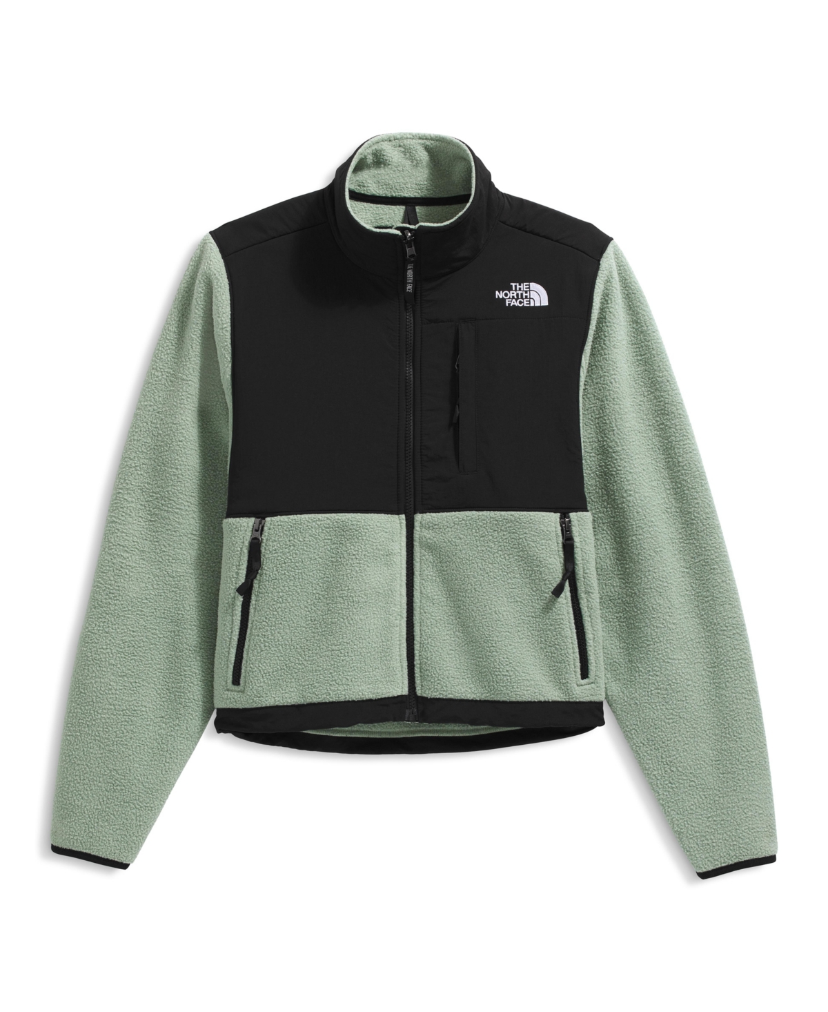 The North Face Women's Retro Denali Jacket In Green