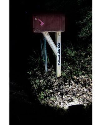 Solar-Powered Dusk To Dawn Flood Light