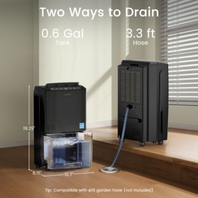 80 Pint Energy Star Dehumidifier with Drain Hose for Home, Basement & Large Space, up to 5000 Sq. Ft