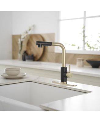 2 Sprayer Single Hole Single-Handle Pull Out Kitchen Faucet in Matte Black and Brushed Gold