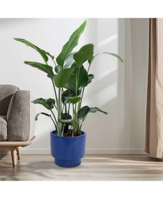 Set of 3 Modern Ceramic Planter Pots