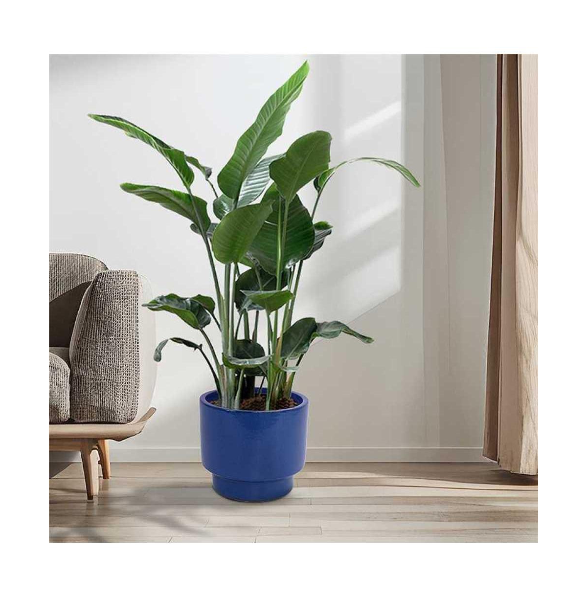 Chic Crate Modern Ceramic Planter Pots Set of 3 Versatile Indoor/Outdoor Flowerpots with Drainage Holes
