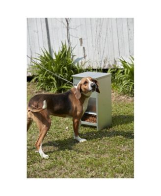 Dry Food Automatic Steel Dog Feeder Chow Hound 25 Pound Capacity