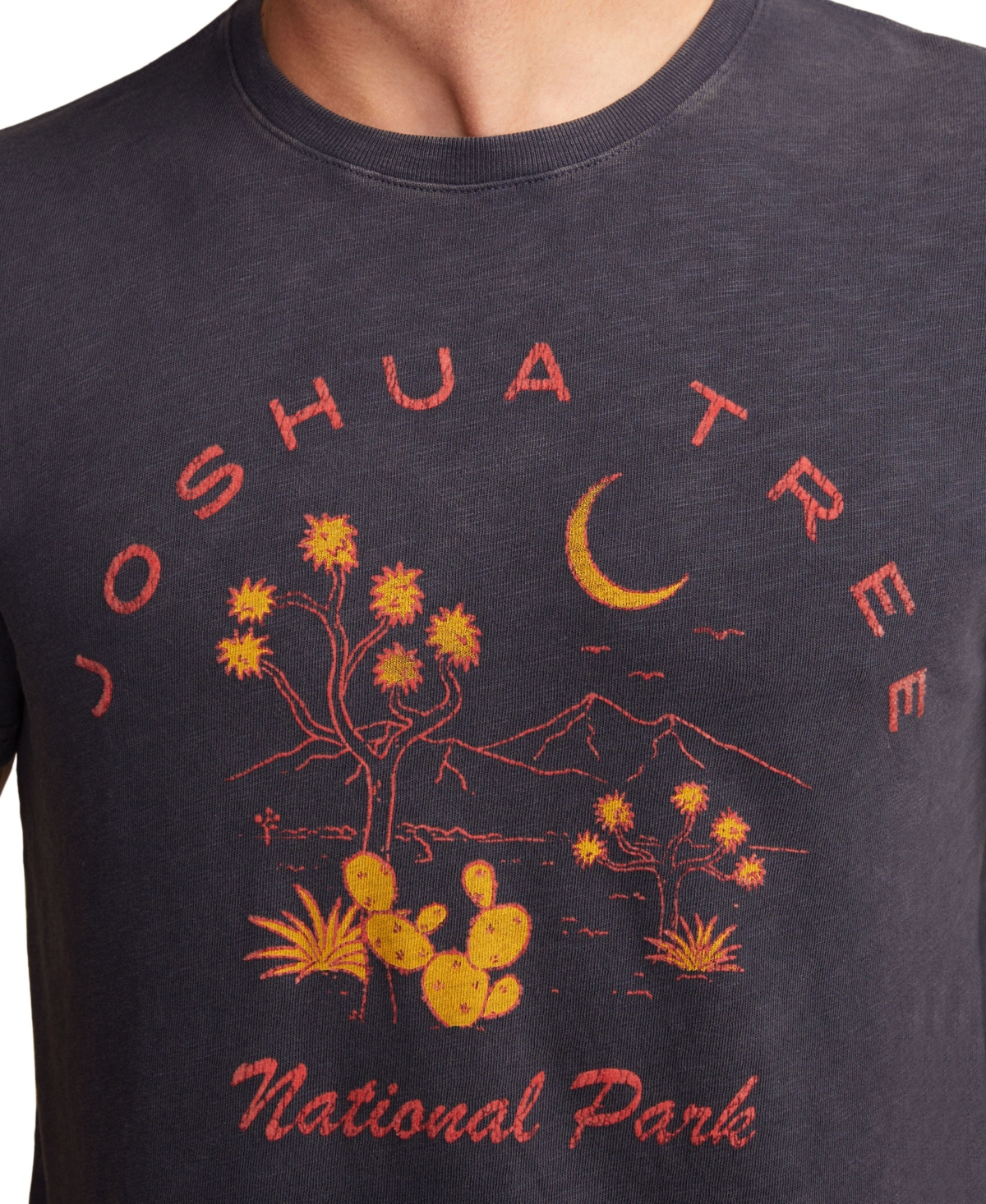 Lucky Brand Men's Crewneck Joshua Tree T-shirt In Brown