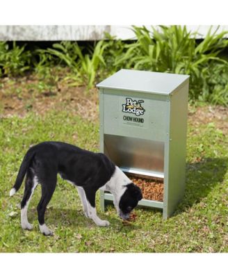 Dry Food Automatic Steel Dog Feeder Chow Hound w/ 50 Pound Capacity