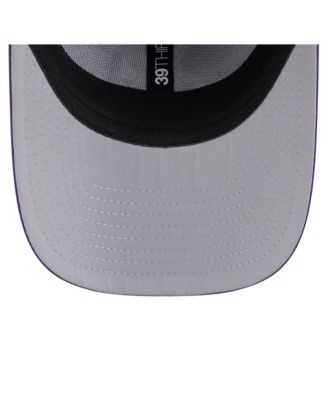Men's Purple Minnesota Vikings Perforated 39THIRTY Flex Hat