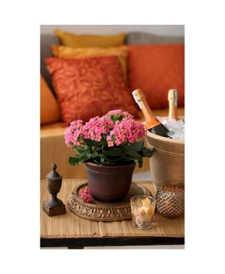 HC Companies 13-Inch Wide Sierra Planter Round Plastic Planter