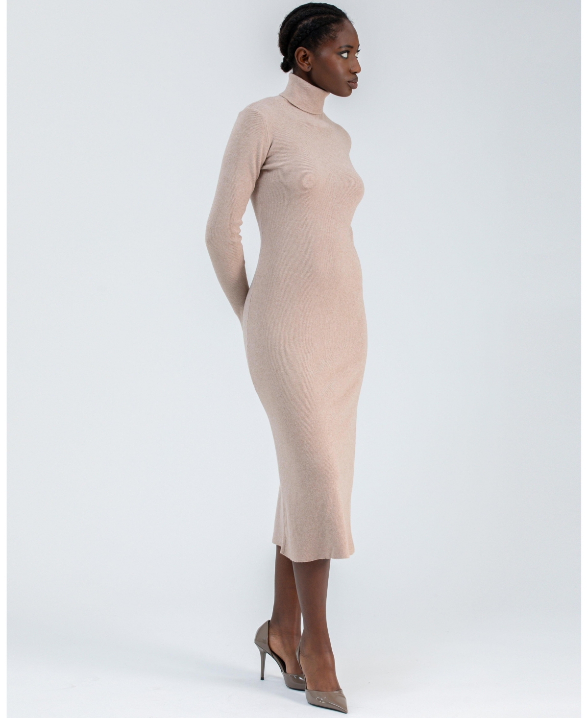 Pietro Brunelli Milano Women's Turtleneck Penelope Dress In Brown