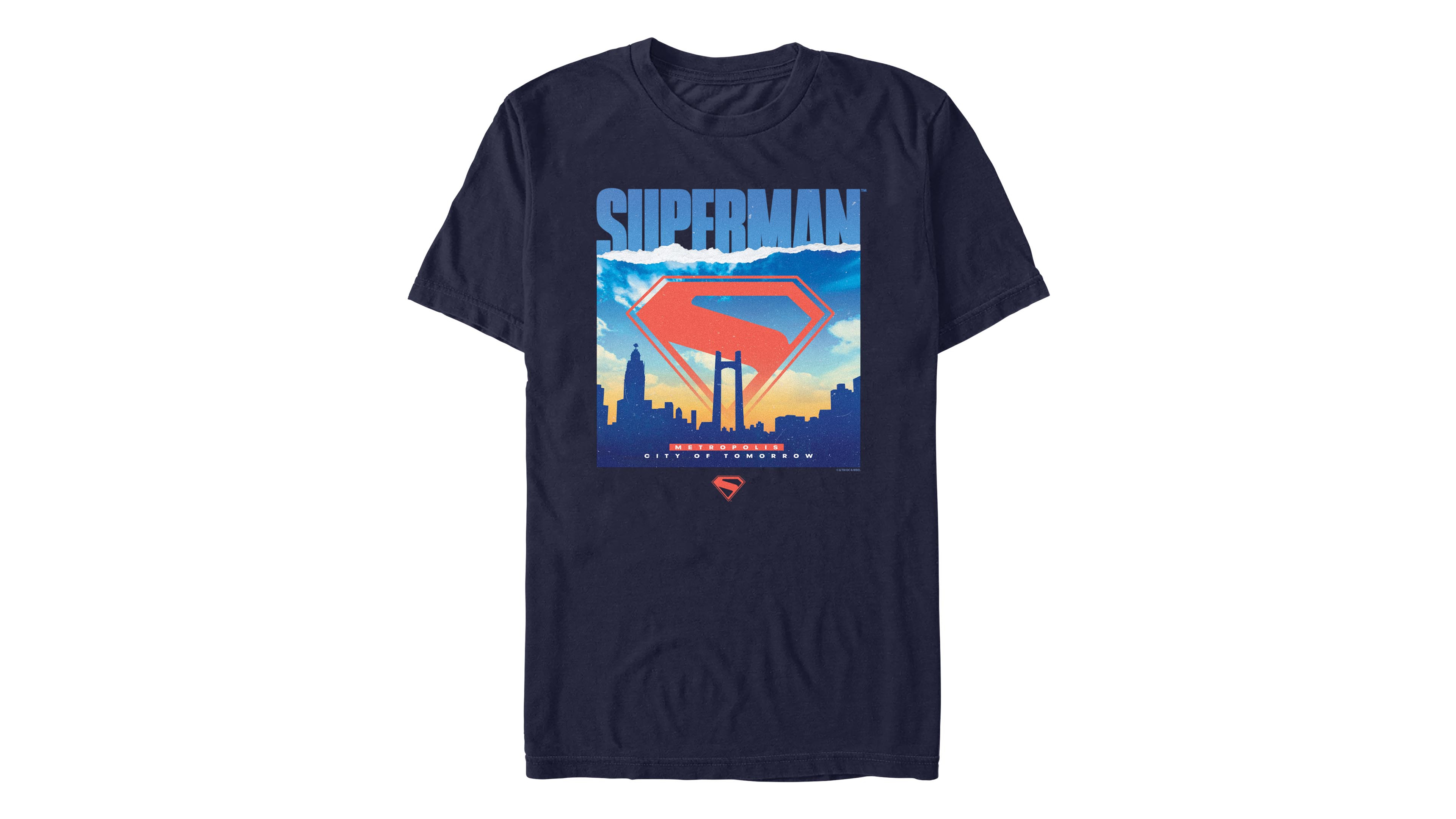 Fifth Sun Men's Superman 2025 Crewneck T-Shirt
