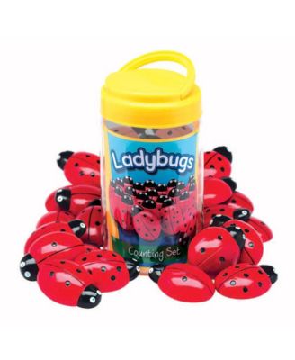 Ladybug Stones and Detailed Activity Cards