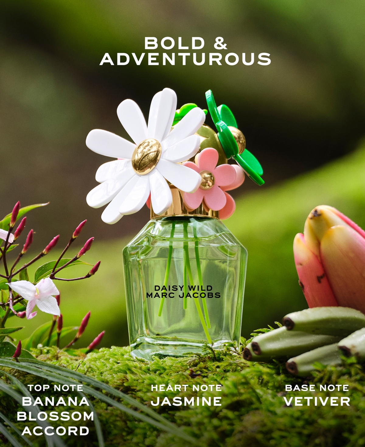 Marc Jacobs 4-pc. Daisy Fragrance Gift Set In Transparent