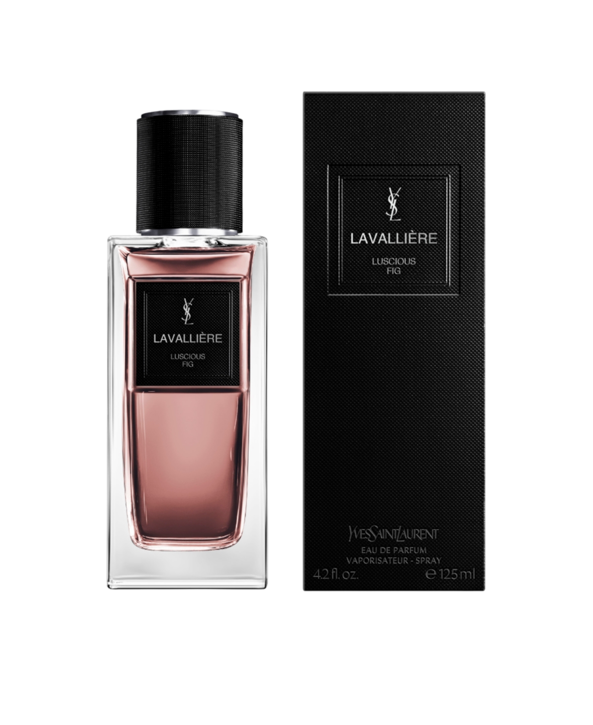 Saint Laurent Lavalliere Le Vestiaire Des Parfum Collection In Transparent