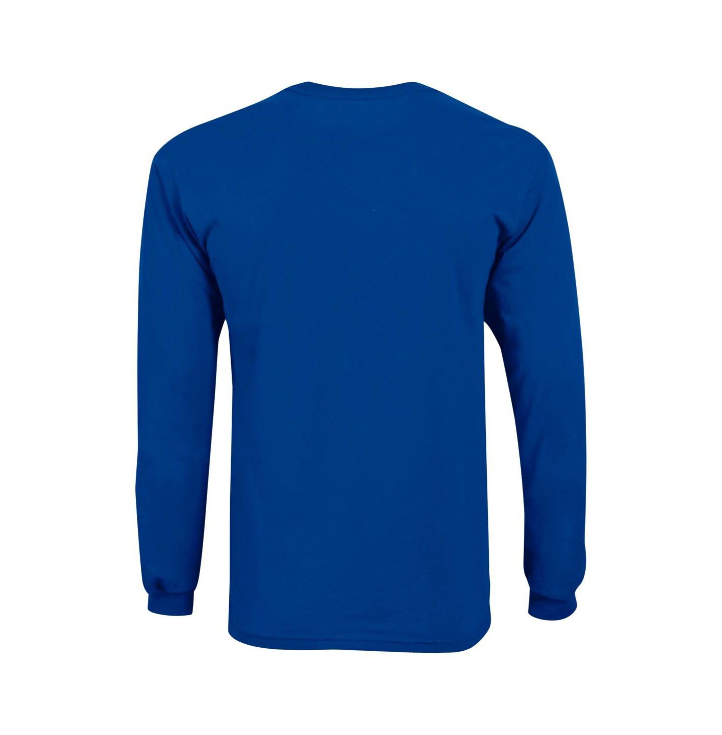 Детская футболка Champion Royal Florida Gators Distressed Arch Over Logo Long Sleeve — фото 3