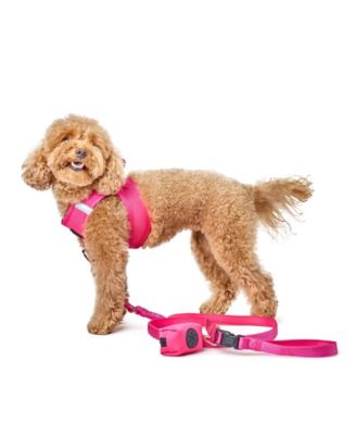 3-in-1 City Dog Leash