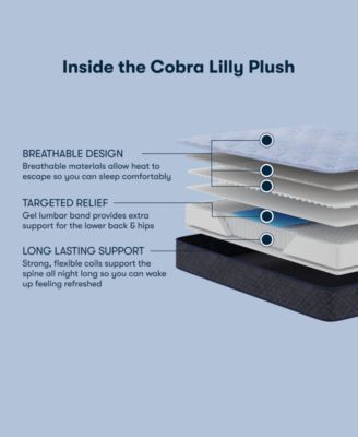 CLOSEOUT! Perfect Sleeper Cobra Lily 10.5" Plush Tight Top Mattress Set, Queen Split