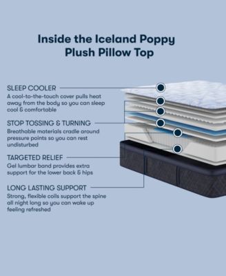 Perfect Sleeper Iceland Poppy 14" Plush Pillow Top Mattress Set, King