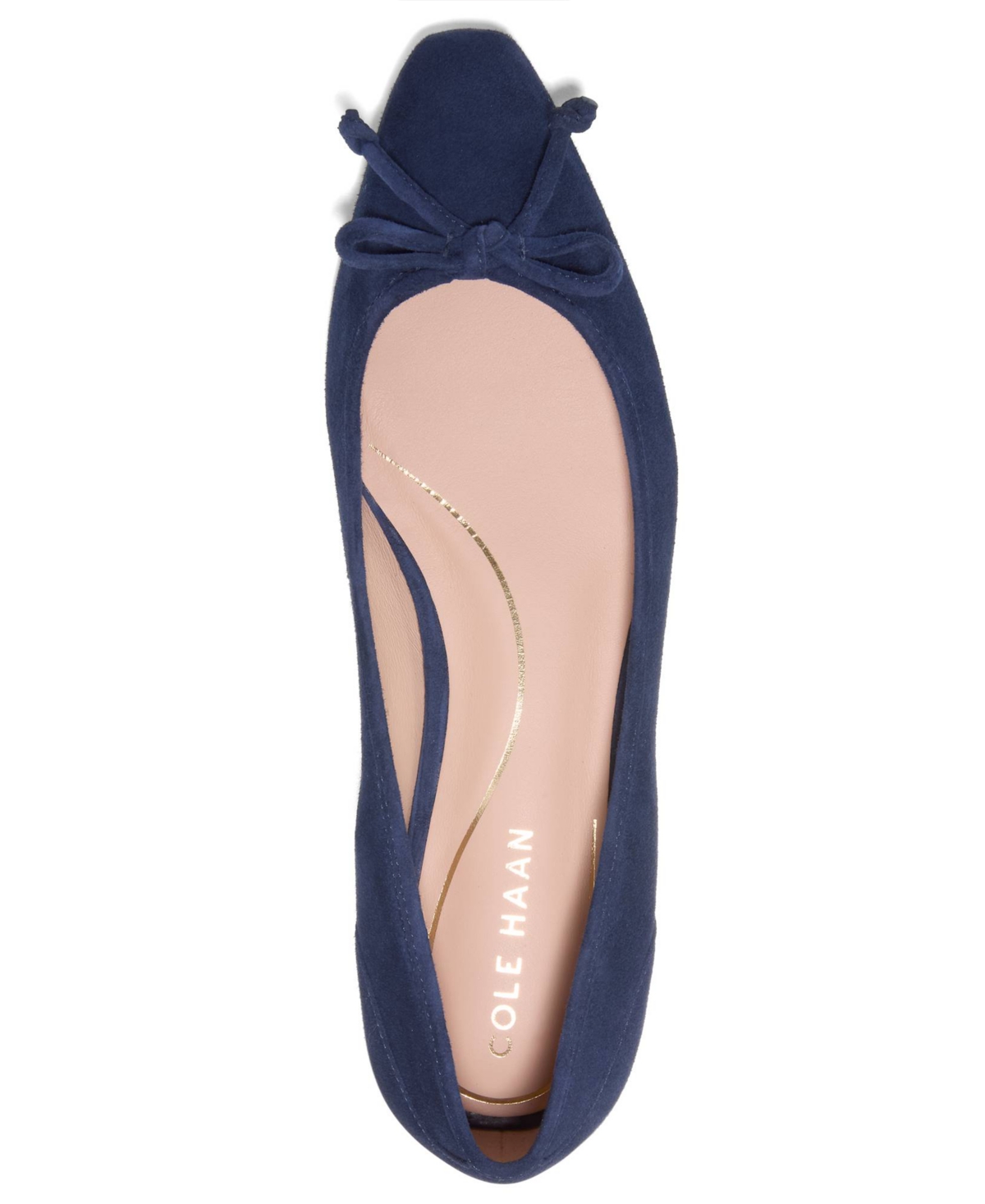 Cole Haan Women's Paget Ballet Flats In Blue