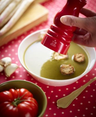 Paris u'Select Zirlion 7" Salt Mill