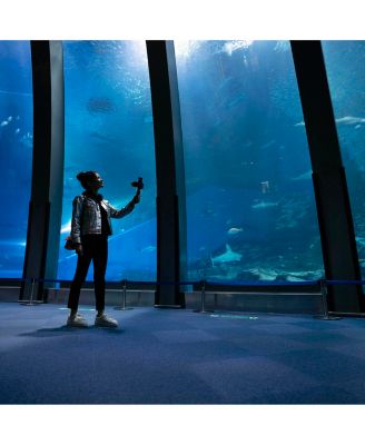 Creator Accessory Kit II with Shooting Grip/Tripod and Vlogger Shotgun Microphone