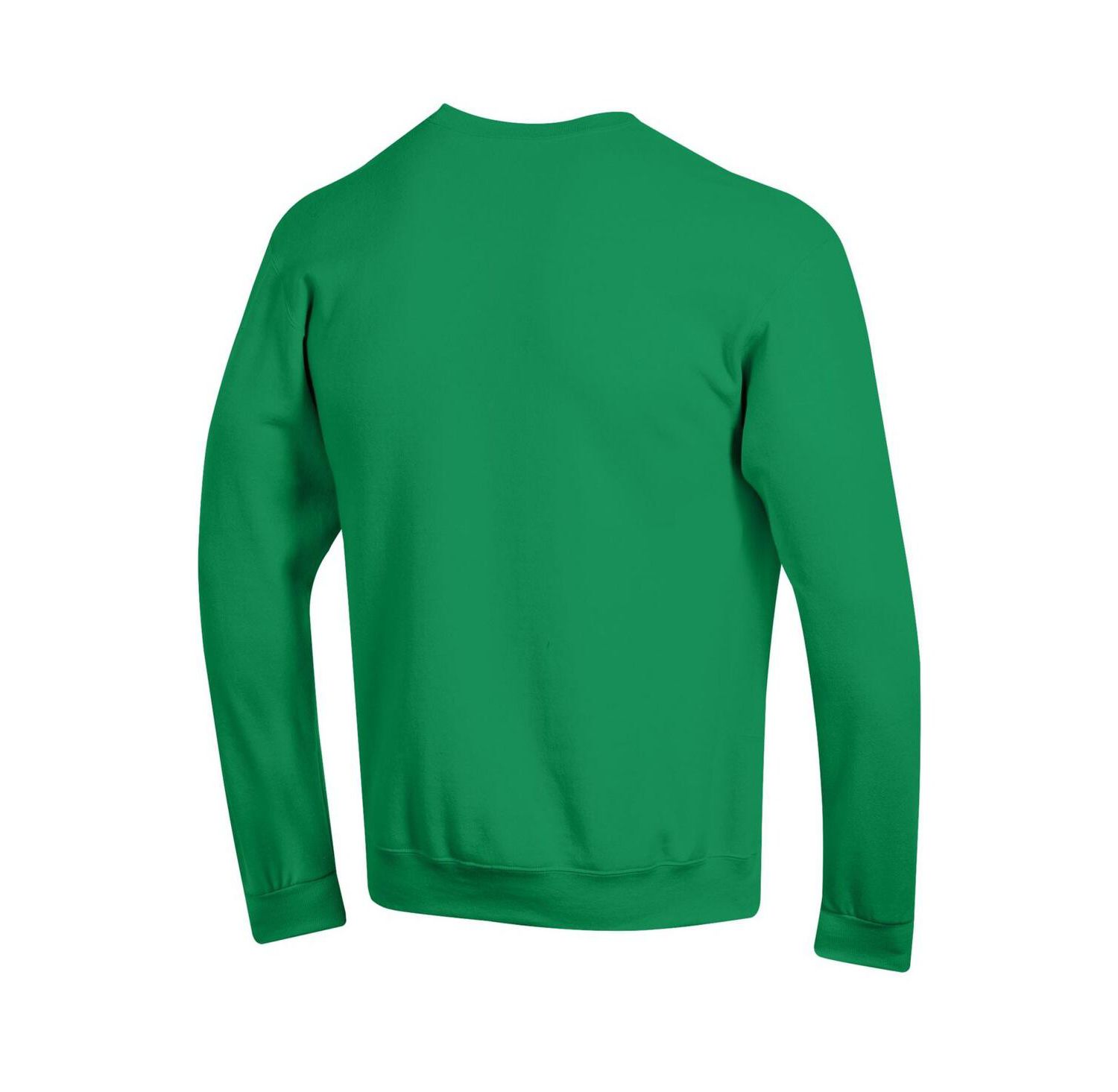 Men's Green Oregon Ducks Basic Arch Fleece Pullover Sweatshirt