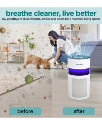 Portable Air Purifier