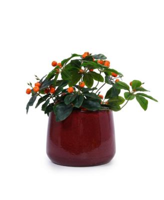 Set of 4 Modern Ceramic Planters