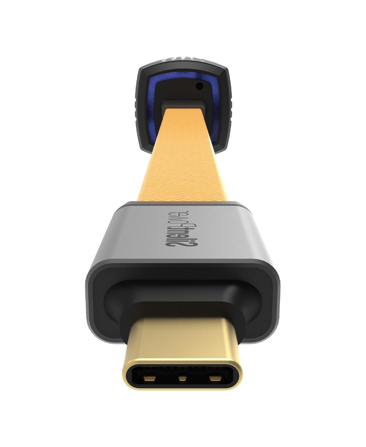 iFi Audio Pulsar Isolated Usb-c Cable with Actie Noise Cancellation