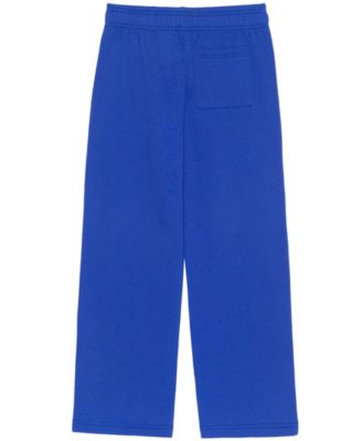 Boys' 5-20 Hedgehog Ring Drop Printed Pants