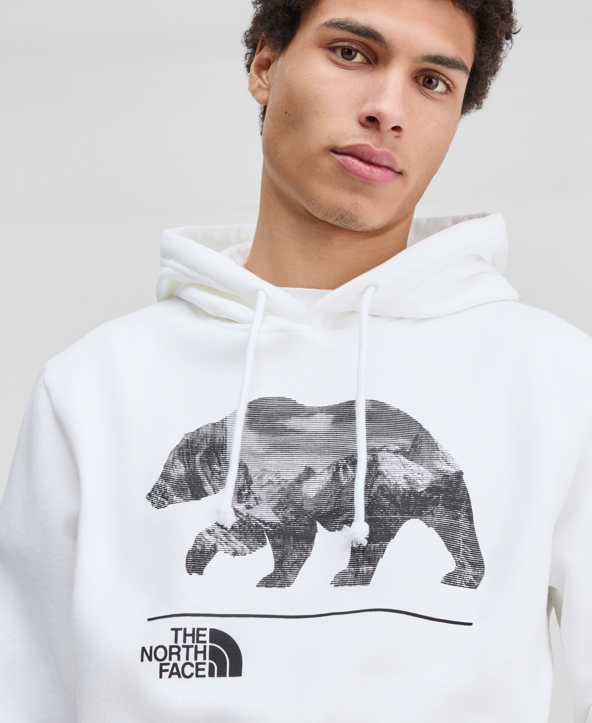 Mens The North Face Evolution Mountain Bear Hoodie