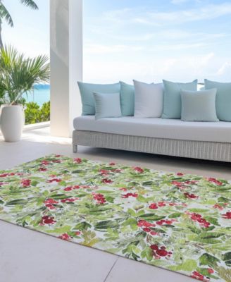 Holiday Washable Indoor/Outdoor ACN1816 10'x14' Area Rug