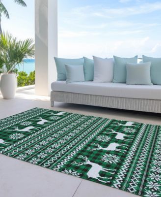 Holiday Washable Indoor/Outdoor ACN1820 10'x14' Area Rug