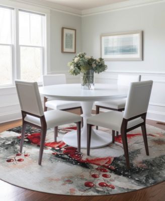 Holiday Washable Indoor/Outdoor ACN1808 8'x8' Round Area Rug